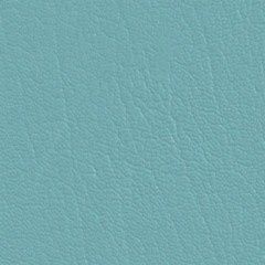 ColorGuard Vinyl w/ Prefixx