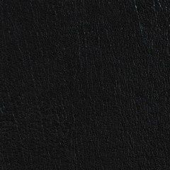 ColorGuard Vinyl w/ Prefixx, Color: Black w/Prefixx 540042 [517420]