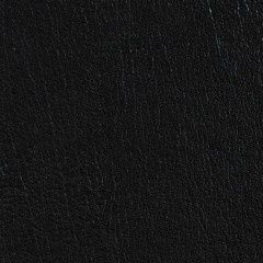ColorGuard Vinyl w/ Prefixx, Color: Black w/Prefixx 540042 [517420]