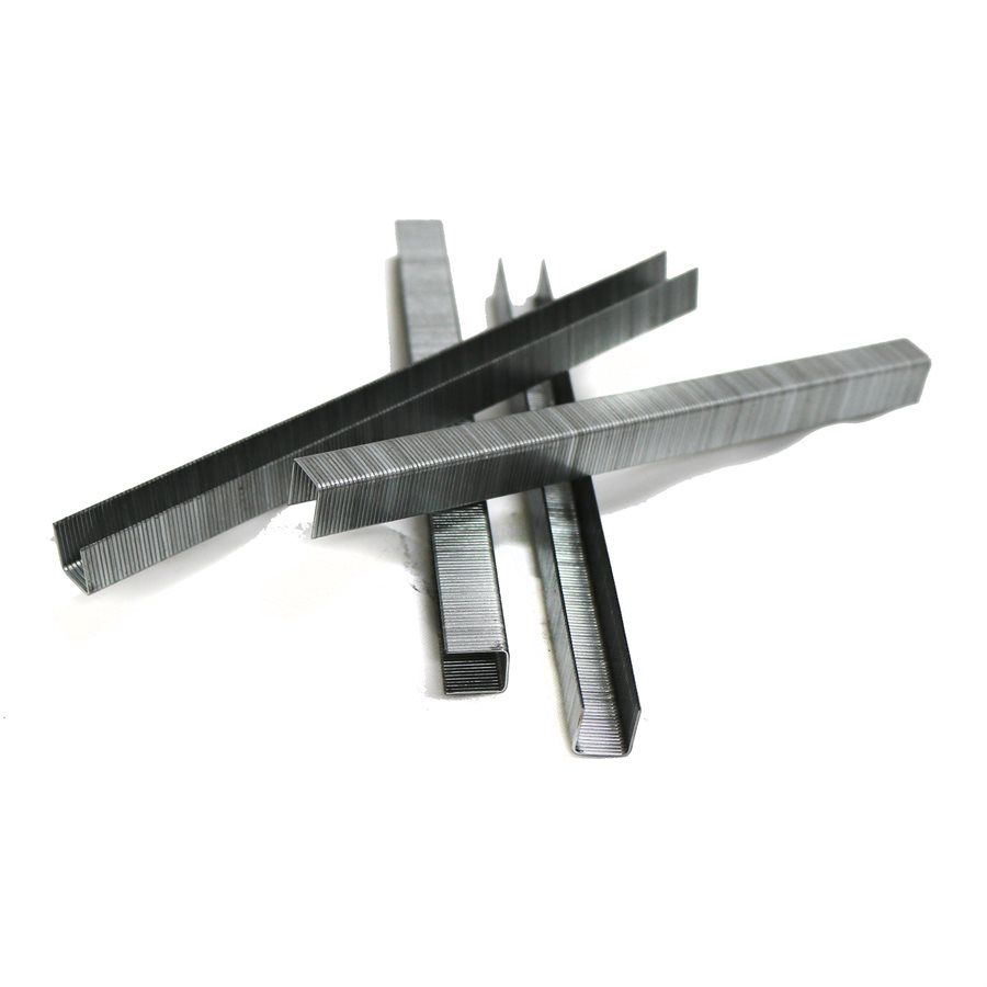 Galvanized Staples, Size: Tego Staples Galvanized 1/4" (10,000 pcs)
