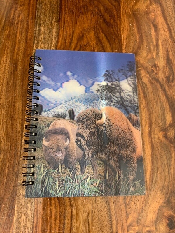 3D notebook Bison