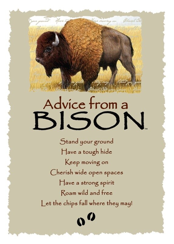 Advice from a bison greeting card