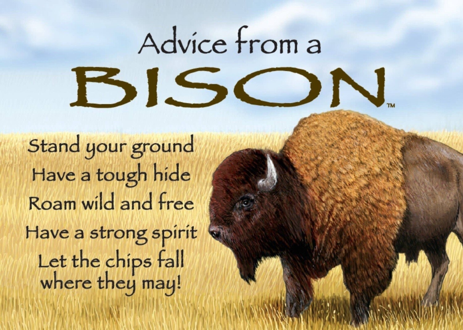 Advice from a Bison Jumbo Magnet