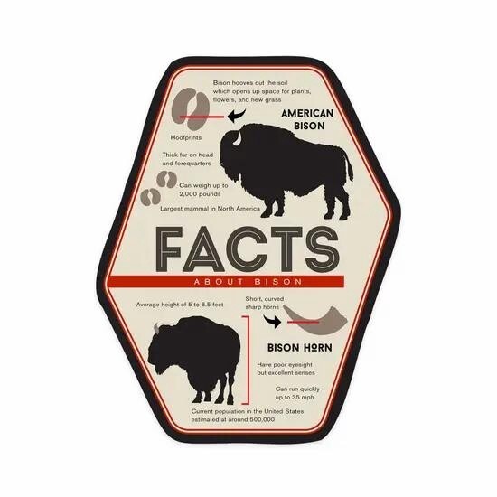 Facts About Bison Sticker