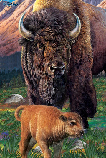 Buffalo - 3D Magnet