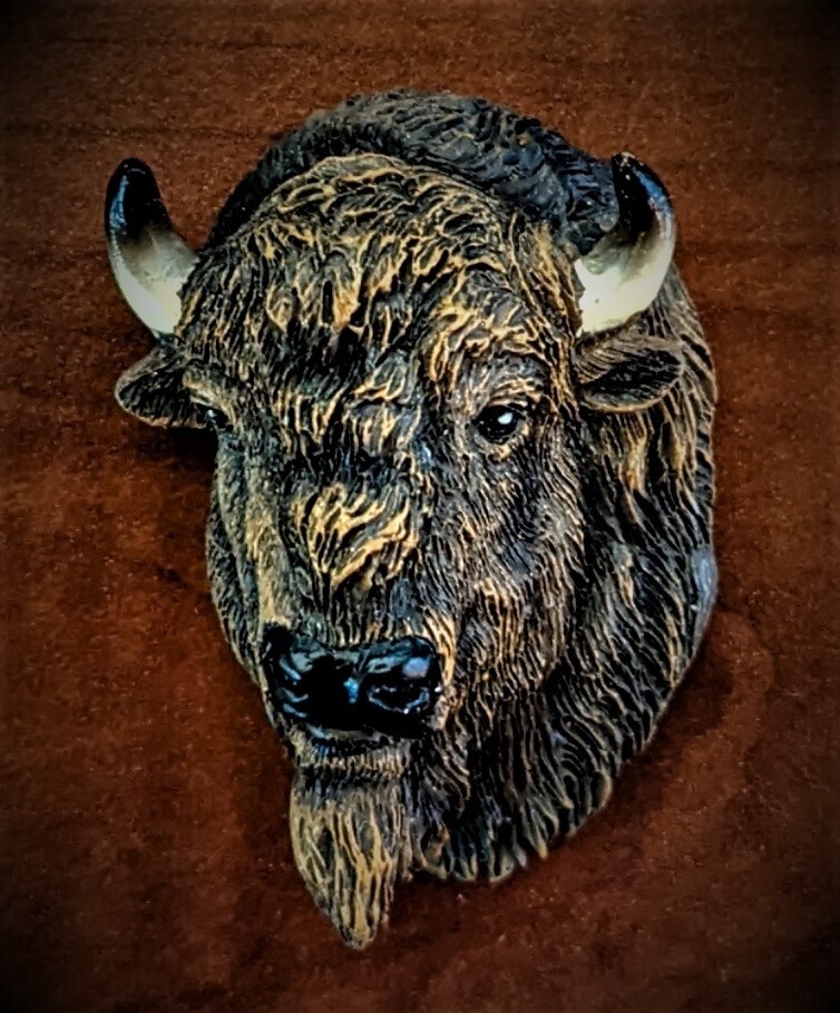 Bison Head Magnet