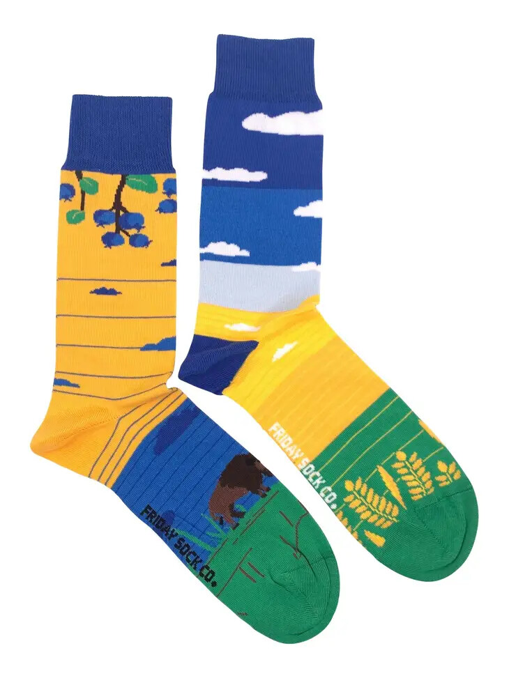 Prairie and Bison Socks