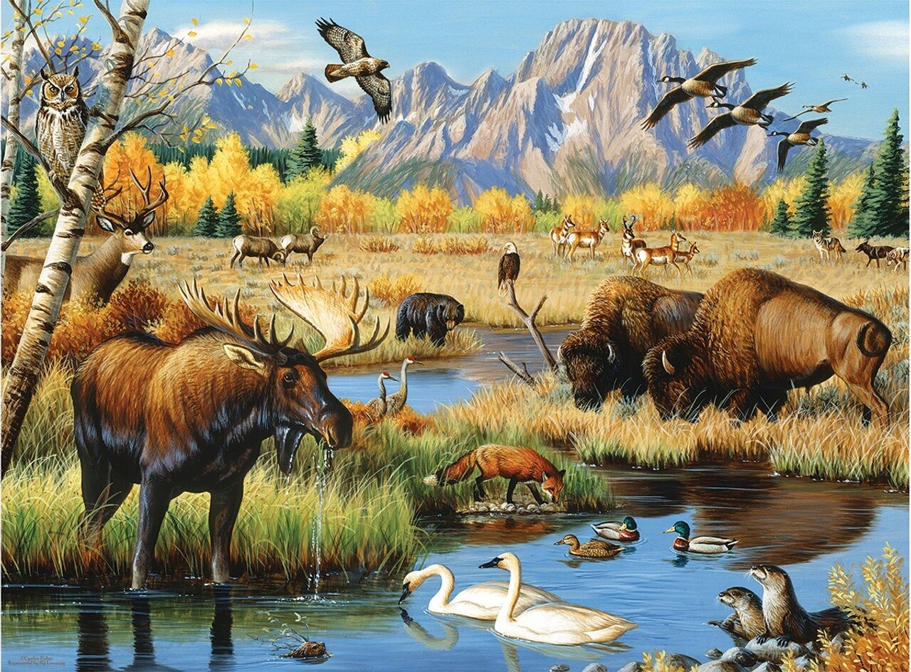 Wildlife Gathering