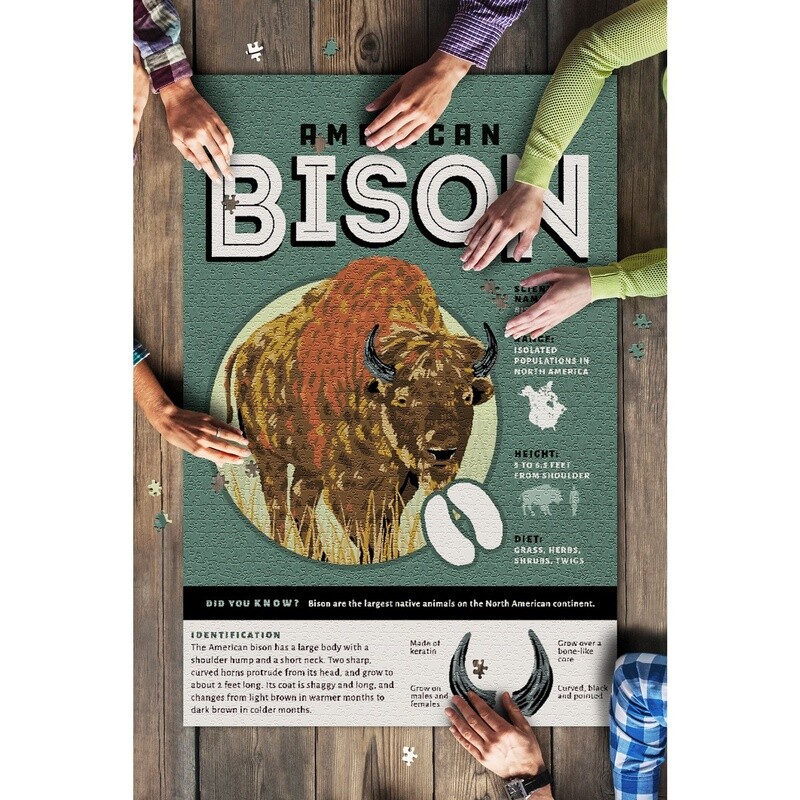 Bison, Facts About Puzzle