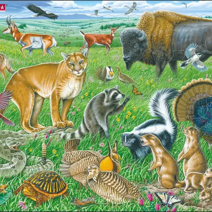 American Prairie Puzzle