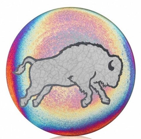 Raku Coaster with Bison