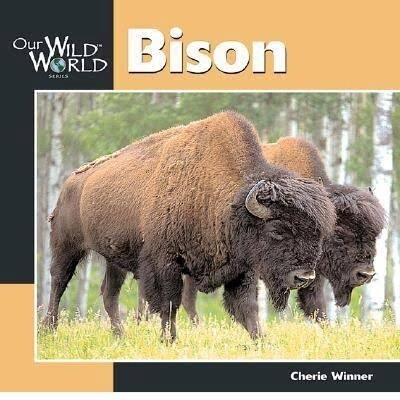 Bison: Our Wild World Series