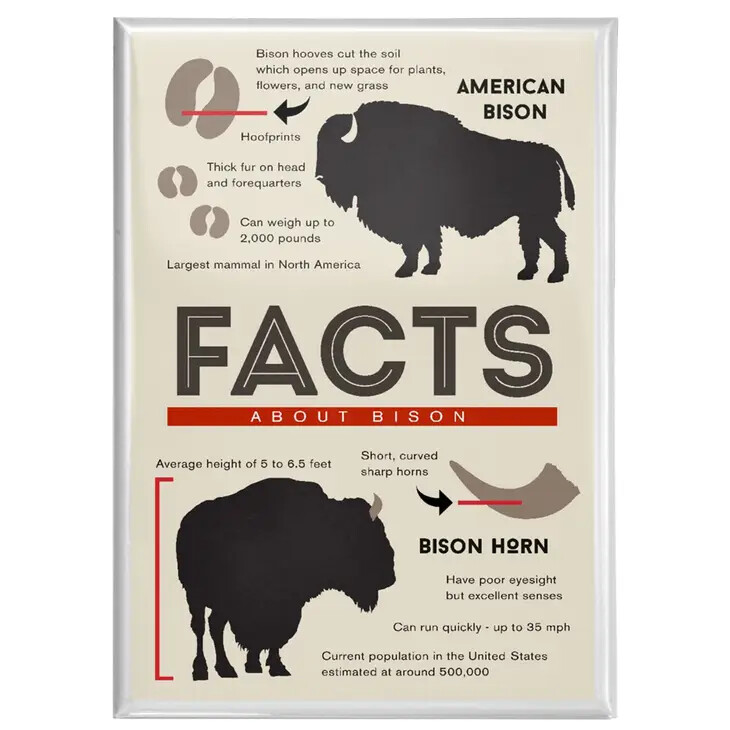 Facts About Bison Magnet