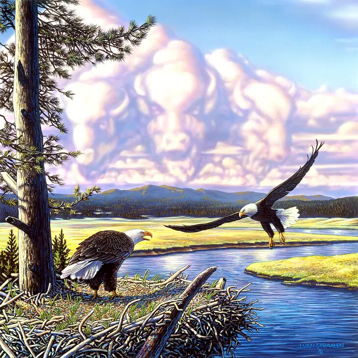 Return to the Plains Puzzle