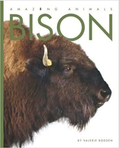 Amazing Animals: Bison