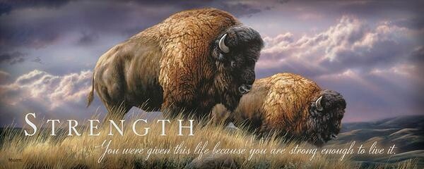 Strength-Bison Wood Sign