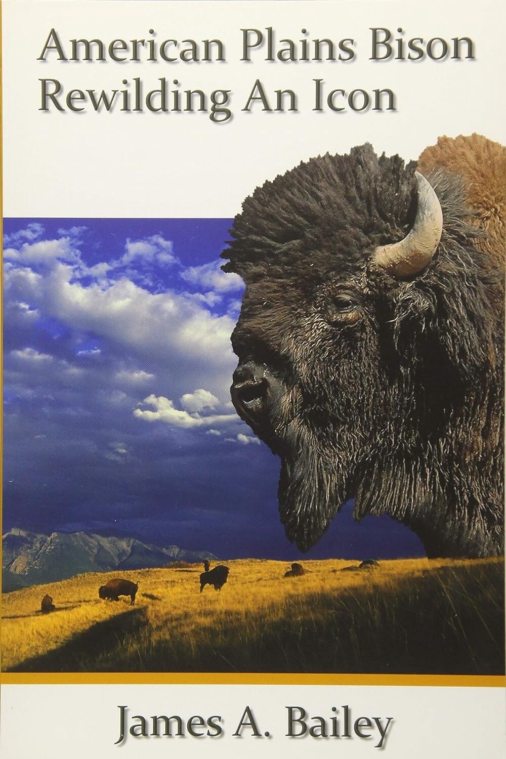 American Plains Bison: Rewilding An Icon