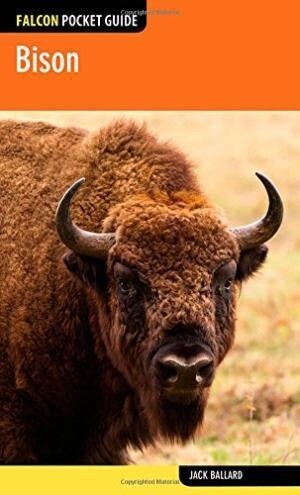 Bison - A Falcon Field Guide