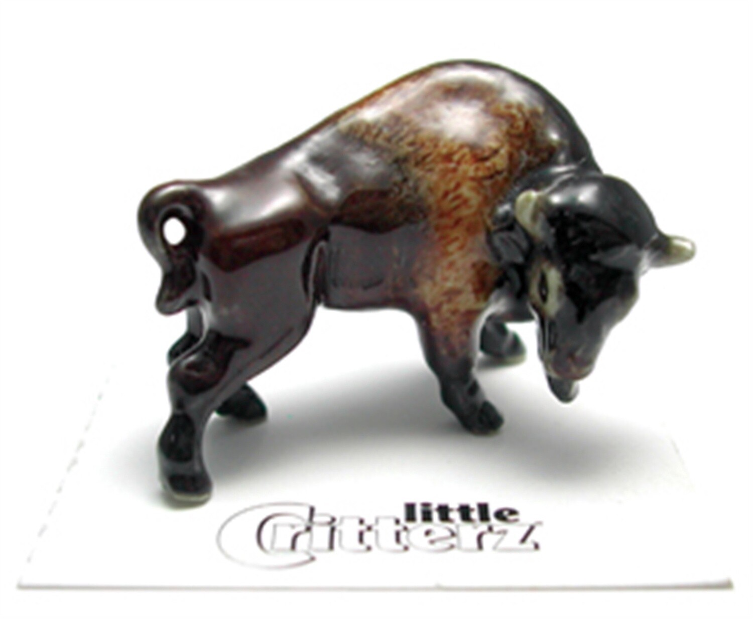 Prairie American Bison