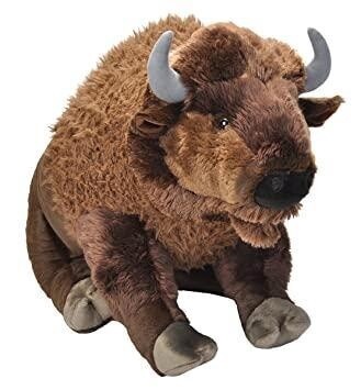 CK Jumbo Bison