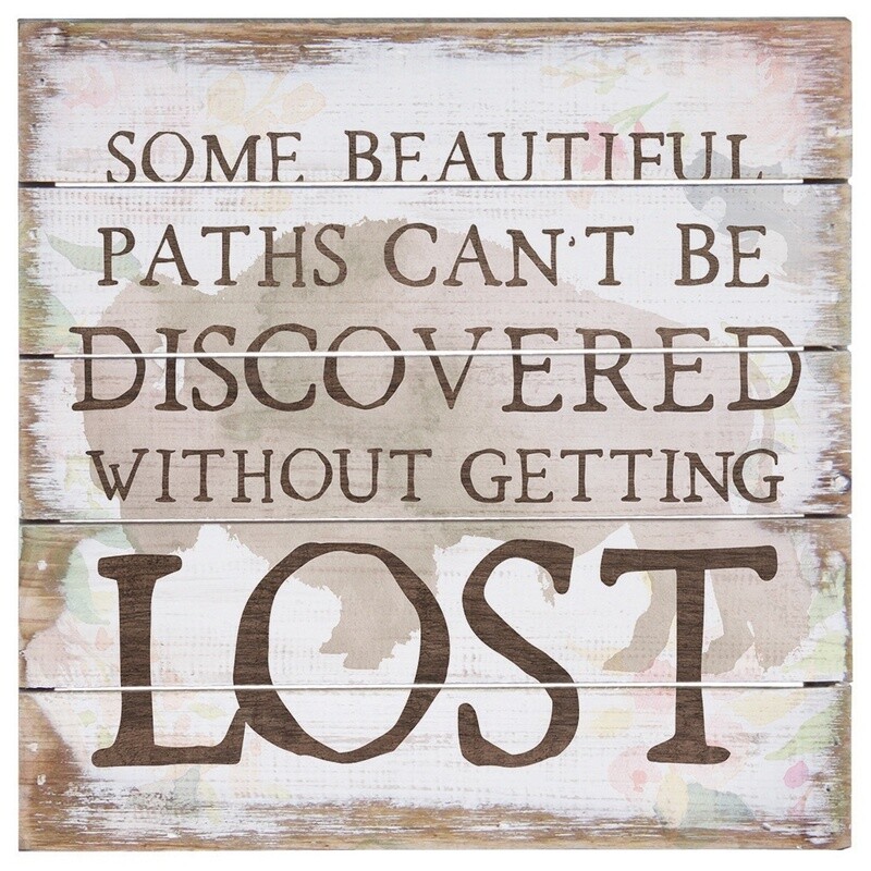 Beautiful Paths Bison
