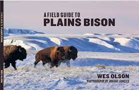 Field Guide to the Plains Bison