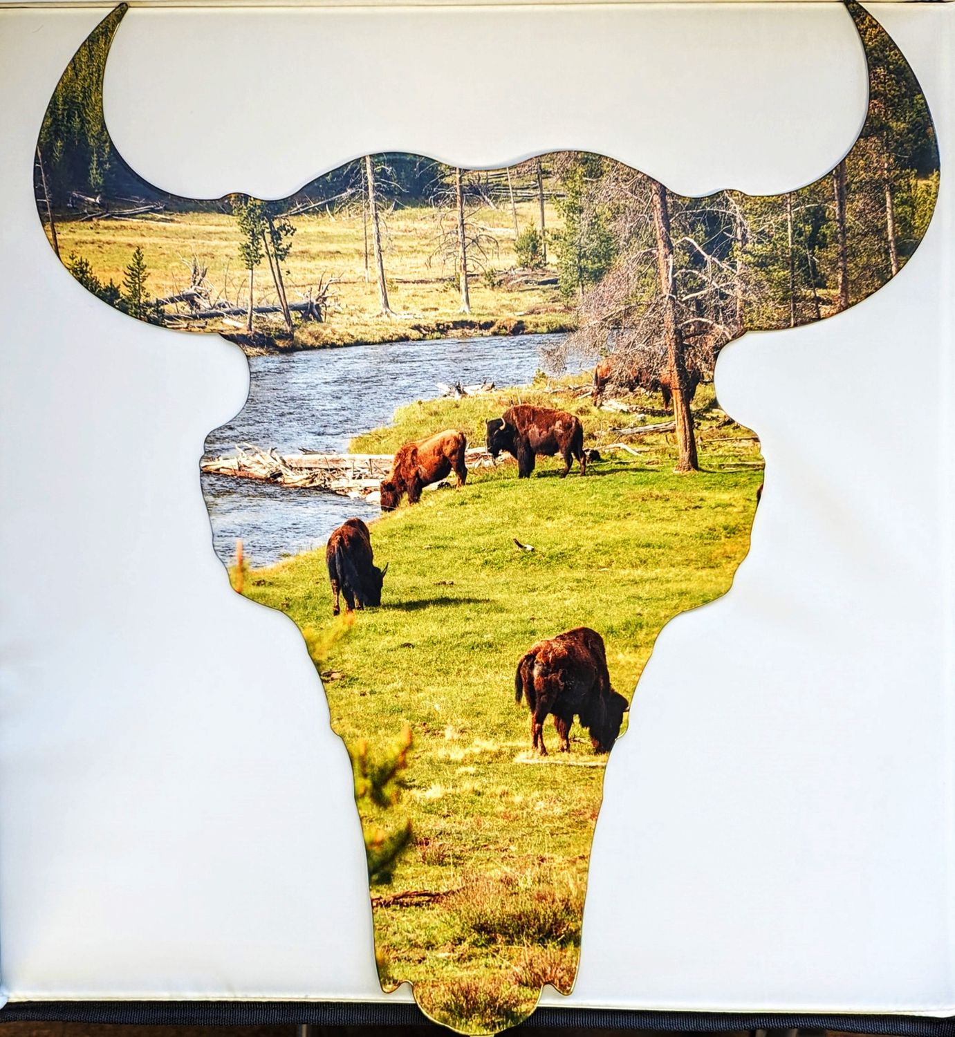 Buffalo Skull Sign