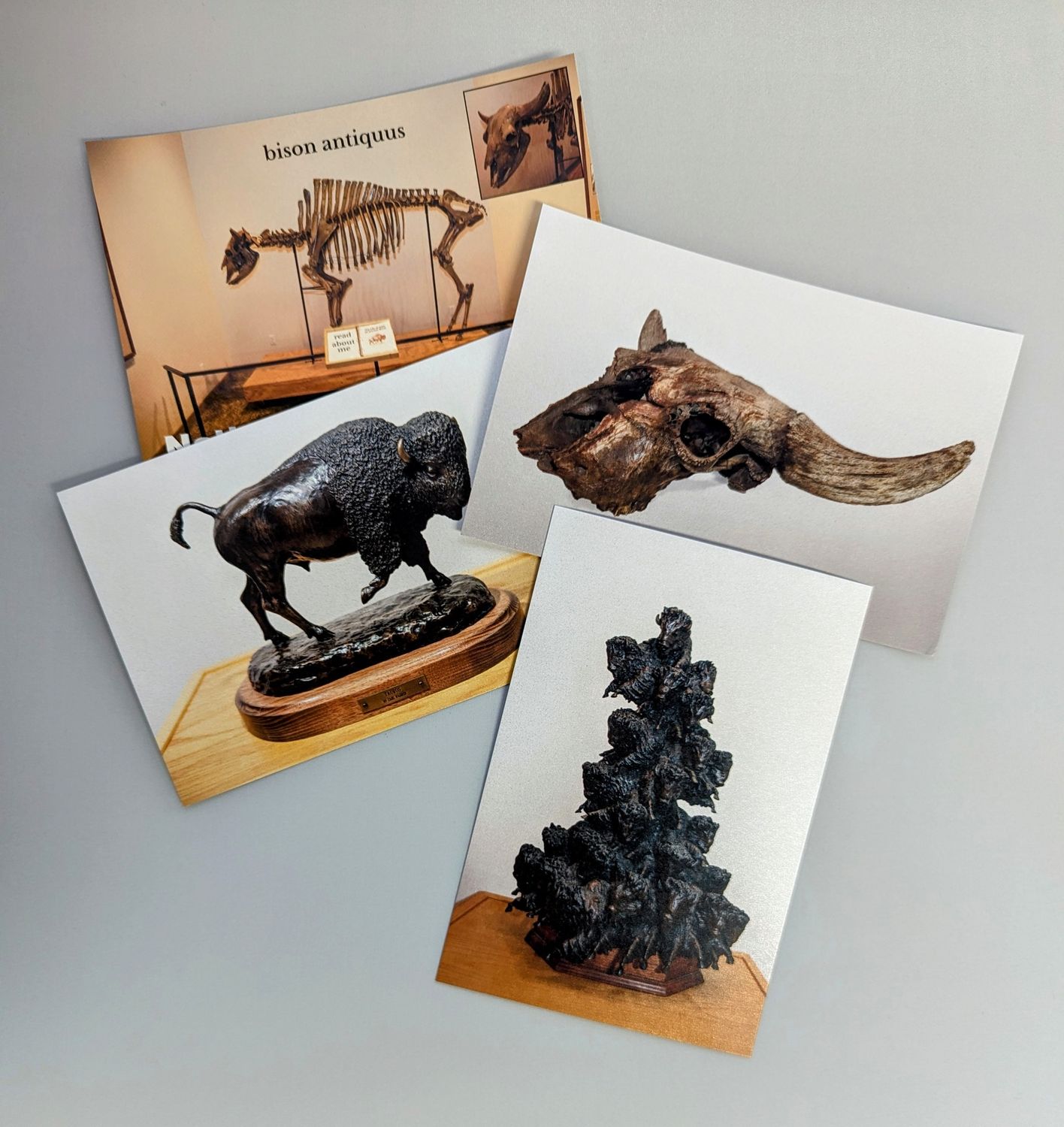 Postcards