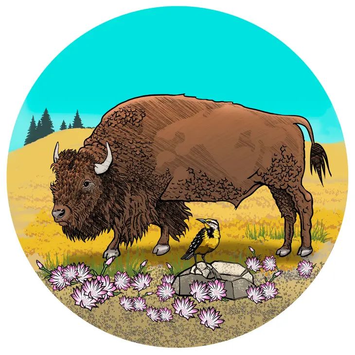 Bison Button Pin, Size: Small, Design: Bison in a Field
