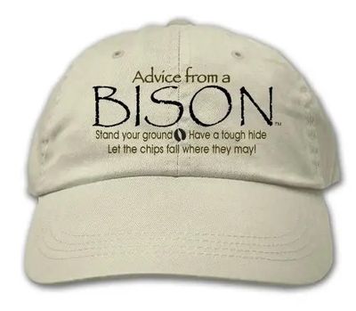 Advise Bison Embroidered Hat