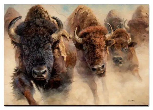 Bison Wood Magnets, Design: Stampede