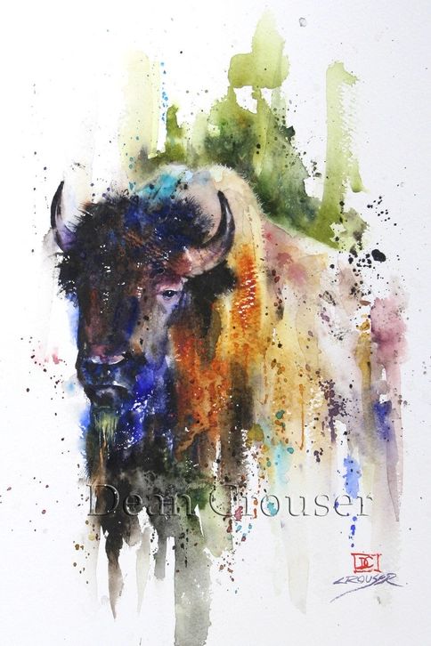 5x7 Buffalo Greeting Card