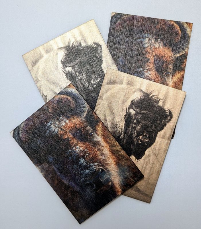 Bison Wood Postcard