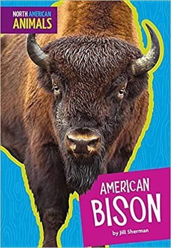 North American Animals: American Bison