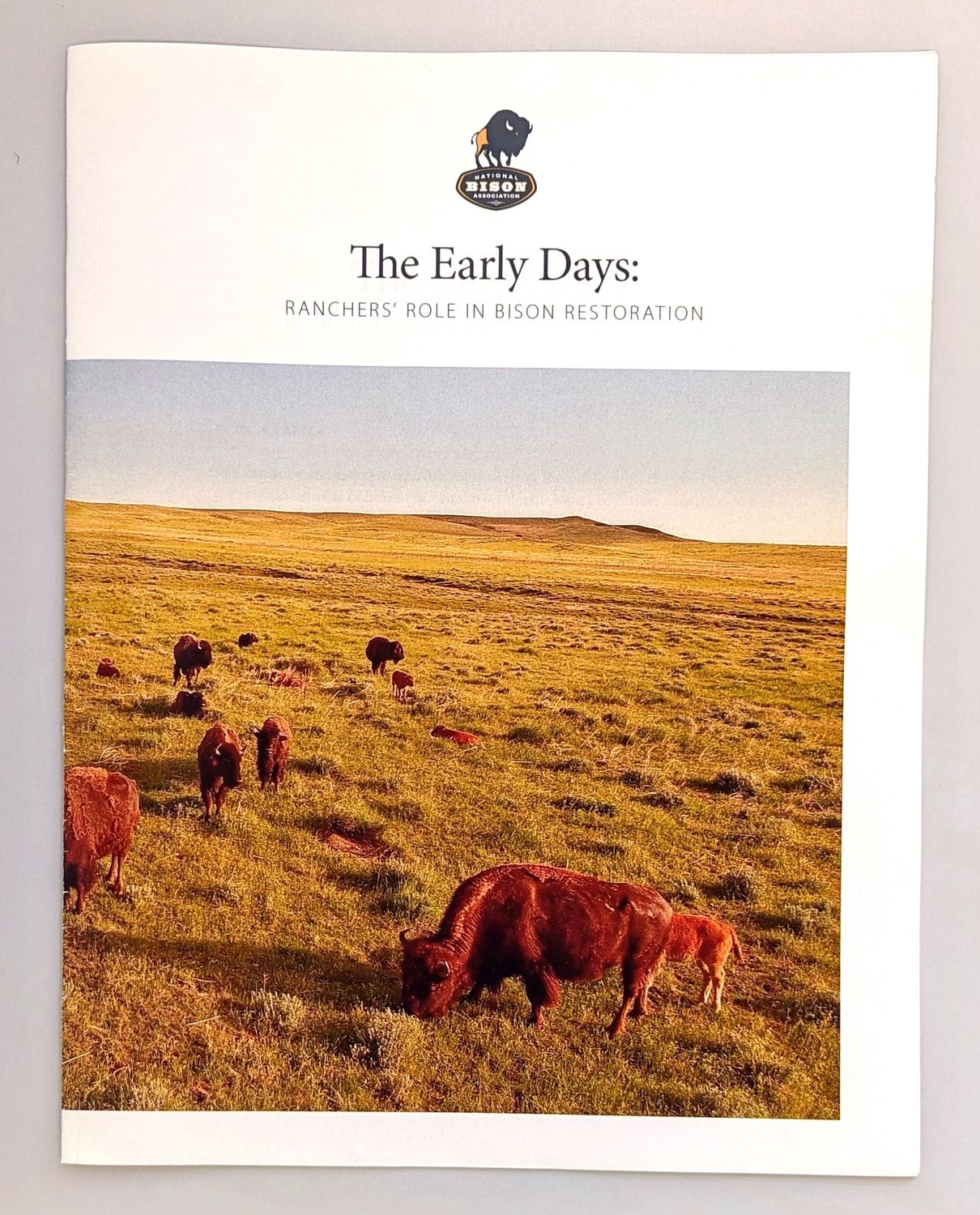 The Early Days