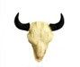 Buffalo Skull Magnet