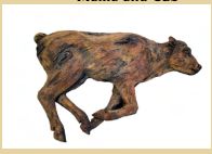 Baby Wall Buffalo
