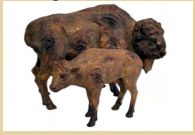 Bull and Baby Buffalo - 2 pc.