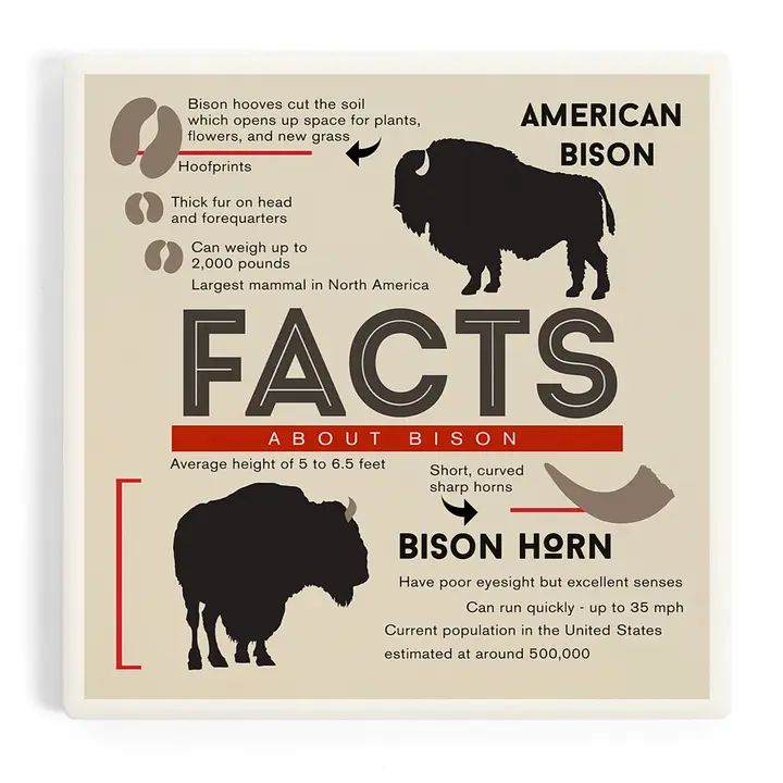 Facts about Bison Coaster