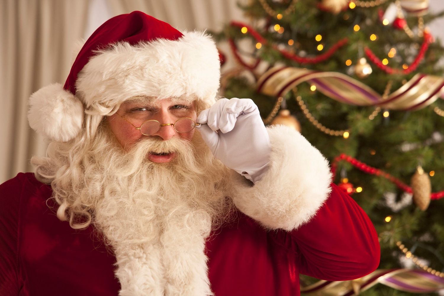 Mini Photo Session with Santa