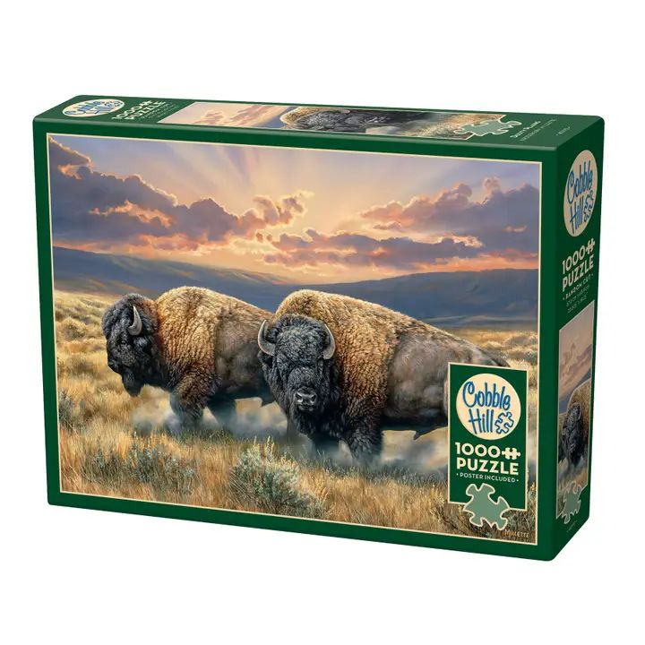 Dusty Plains Puzzle