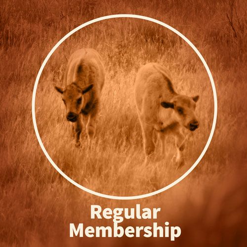 Regular Membership