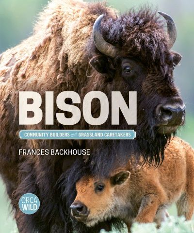 Bison Community Builders and Grassland Caretakers