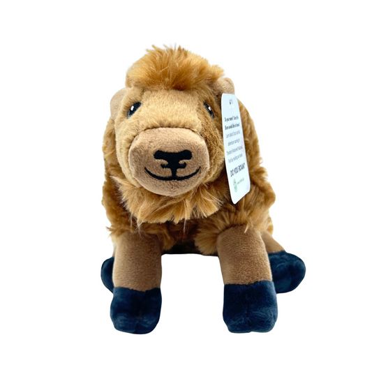 Oscar Bison