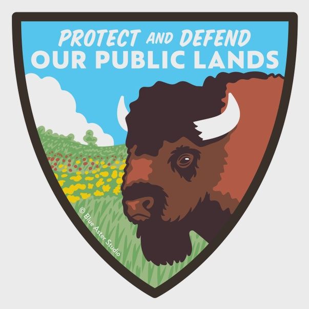 Defend Public Lands Bison