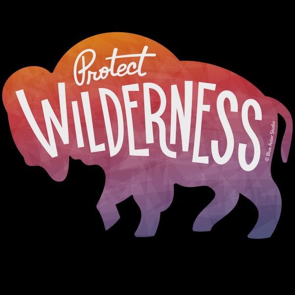 Protect Wilderness Bison