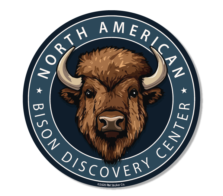 Painted Animal Bison