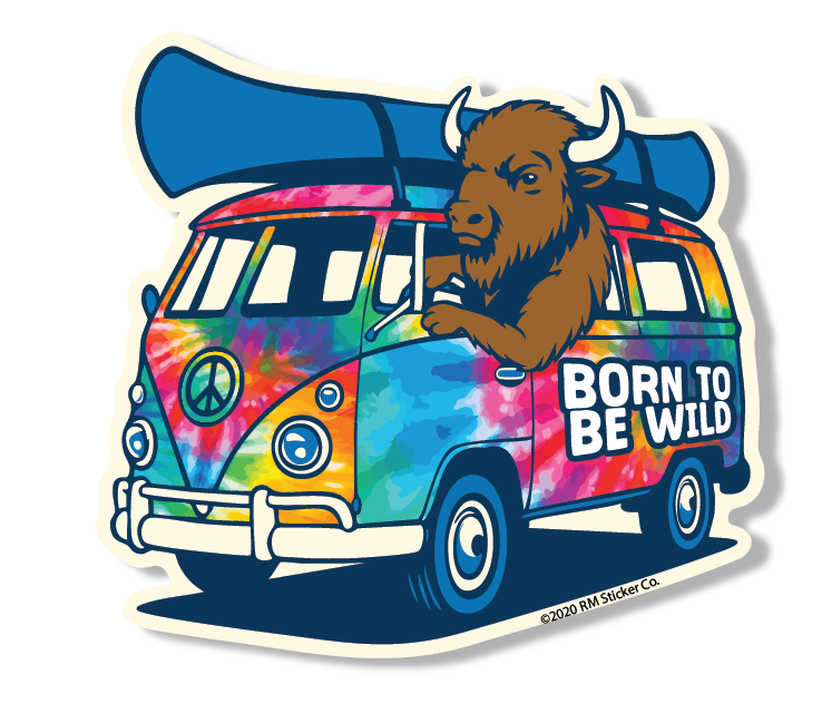 2 Color Canoe Bus