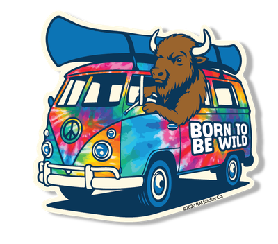 2 Color Canoe Bus