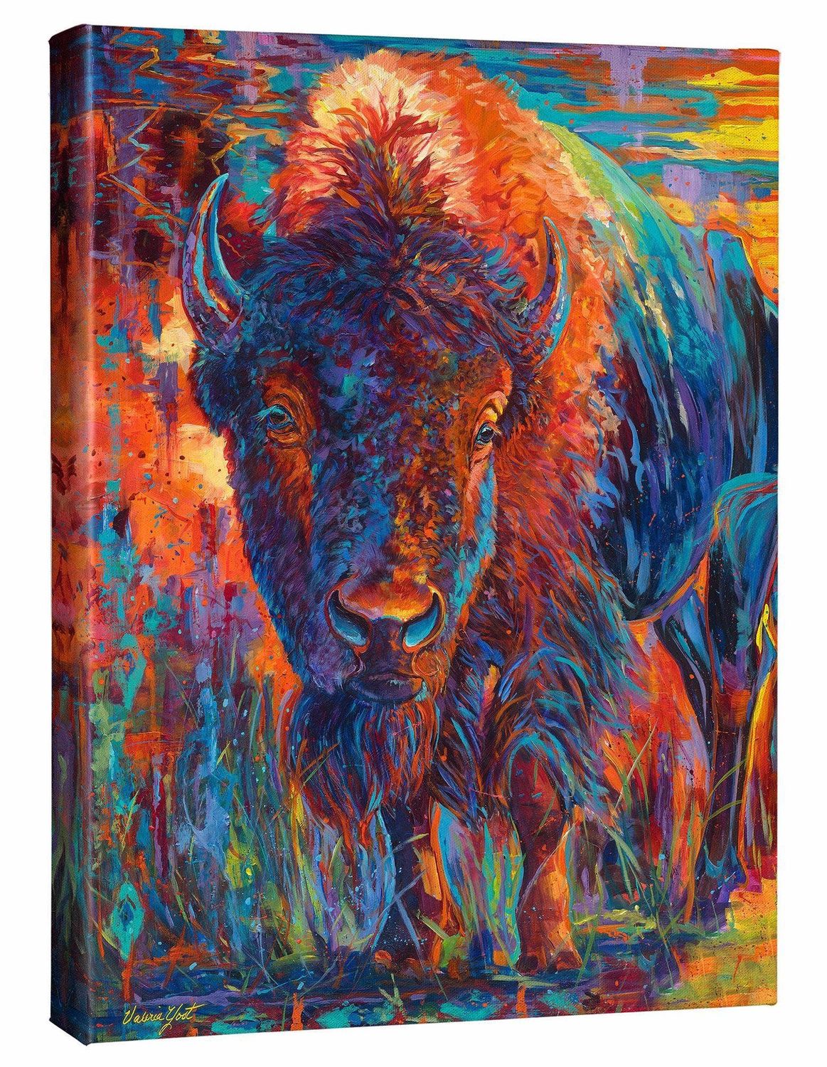 Bison - Gallery Wrapped Canvas